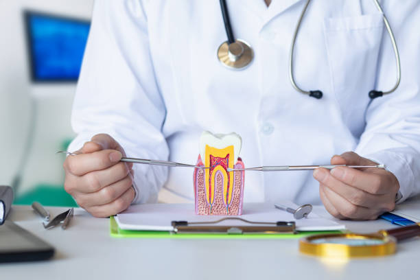 Best Pediatric Emergency Dentist in Hlsboro, IL